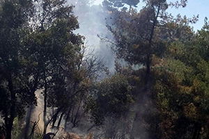 3 Dönüm Tarım Arazisi Kül Oldu