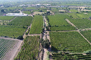 MASKİ, Gökkaya`nın Taşkın Derdine Son Verdi