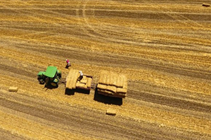 Tarım Alanlarının Yüzde 8,2`sini Kaybettik