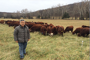 Et Fiyatları İthalatla Düşecek