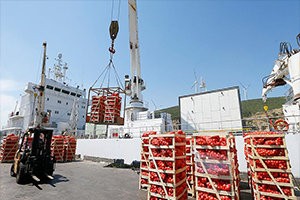 Gıda Yüklü İkinci Gemi Katar`a Bayram Öncesi Ulaşacak