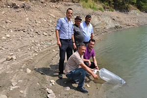 Simav`da Göletlere 27 Bin Yavru Balık Bırakıldı