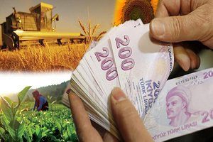 Tarım Havzalarında Desteklenecek 21 Ürün Belli Oldu