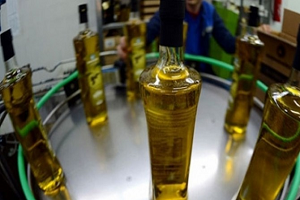 ABD`ye Zeytinyağı İhracatı 9 Kat Arttı