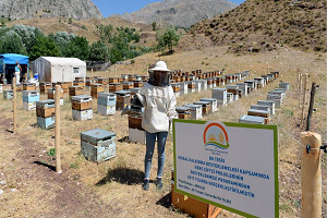 Organik Arıcılık Devlet Desteğiyle Artıyor