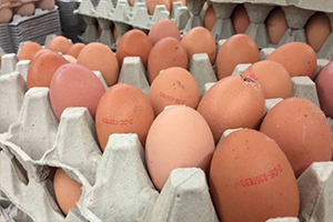 Böcek İlaçlı Yumurtalara Güney Kore`de de Rastlandı