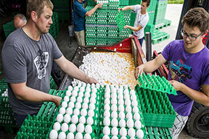 Almanya Tarım Bakanı: 12 Eyallette Tespit Edildi