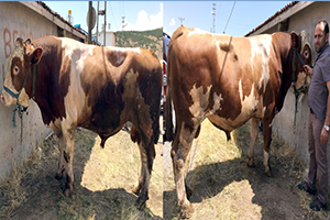 28 bin TL`ye Alıcı Bekliyor!