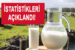 Süt ve Süt Ürünleri İstatistikleri Açıkladı