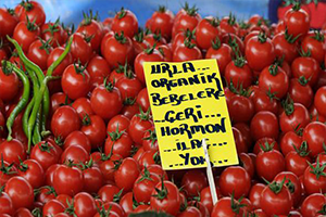 Yaş Meyve-Sebzede Yüzde 30`luk Fire İçin Yeni Önlemler