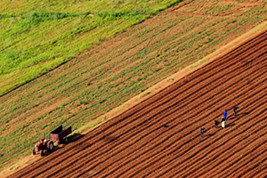 `Terk Edilen Tarım Arazileri Ekonomiye Kazandırılsın`