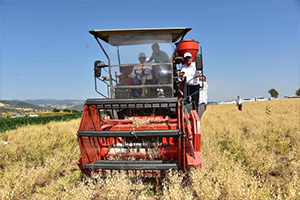 `Nohut Tarla Günü`