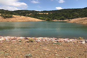 700 Dekar Arazi Suya Kavuşuyor