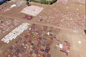 Antalya`nın Susuz Tarımı Milyon Dolarlık Halı Tarlaları Havadan Görüntülendi