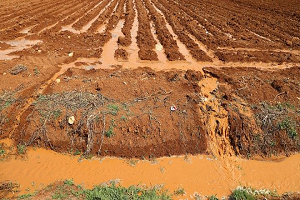Cumhurbaşkanı Erdoğan`dan `Vahşi Sulamaya Son Verin` Talimatı
