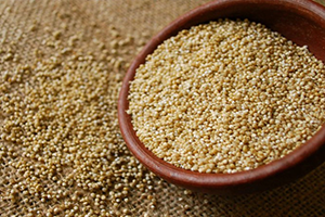 Astronot Besini `Kinoa` Satışa Çıktı