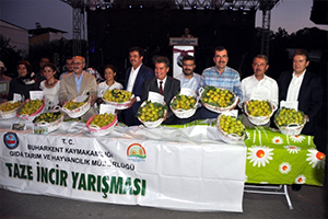 Buharkent`tin Dünyaca Ünlü Taze İnciri Festivalle Tanıtıldı