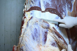 Kurban Etindeki Kokulara Dikkat