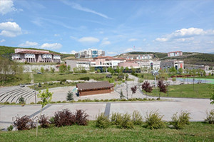 Düzce`de Tarımsal Atıklardan Kimyasal ve Kompozit Madde Elde Edilecek