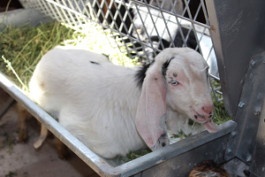 TKDK İle Hayat Bulan Yatırımlar