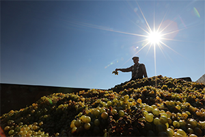 Tzob: Enflasyonun Sorumlusu Olarak Çiftçinin Görülmesinden Vazgeçilsin
