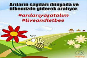 Arılar İçin Arı Gibi Çalışıyoruz