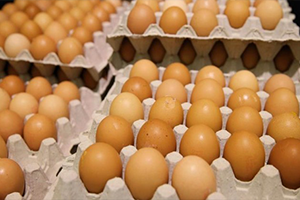 `Zehirli` Yumurtaya Bakanlık İncelemesi