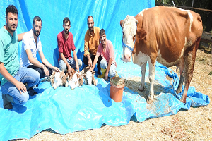`İlk Defa Başımıza Geldi, Çok Şaşkınız`