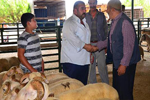 Besicilerden İthalat ve Yem Fiyatı Tepkisi