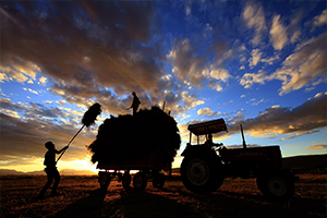 Tarım İstihdamda Sanayiyi Geçti