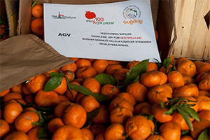 Yüzeysel Haberler Organik Sektörüne Zarar Veriyor