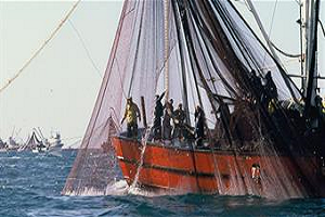 2017-2018 Av Sezonu, Balıkçılarımıza Hayırlı ve Bereketli Olsun