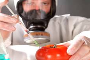 Bebekler İçin Gıda Katkı Maddelerinde Değişiklik