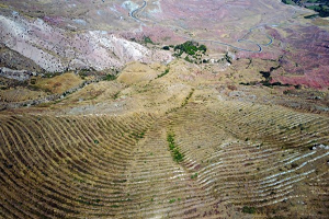 Önlem Çiftçiler İçin Ekmek Kapısı Olacak