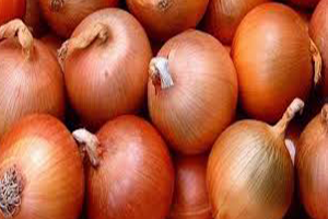 Kuru Soğanda Düşük Rekolte