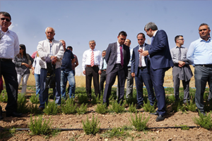 Tıbbi ve Aromatik Bitki Bahçeleri Tanıtıldı