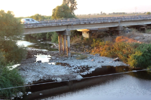 Tarımda Tehlike Çanları Çalıyor