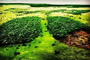 `Temiz Doğada Yaşamak Herkesin Hakkı`