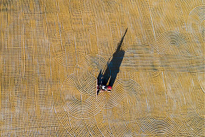 Eşsiz Tadı ve Rengini Güneşten Alıyor