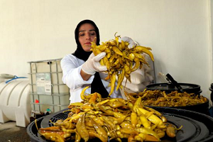 Yöresel Lezzetlerimiz  Avrupa Pazarında