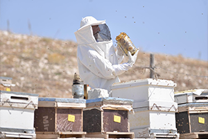 İlk Denemesinde Siparişlere Yetişemedi