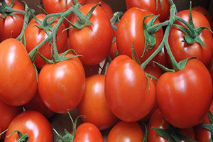 Domates İhracatında Kırmızı Et Takası İle İlgili Bakanlık`tan Açıklama