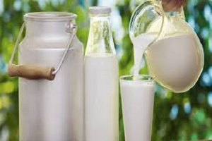 Bayraktar : Çiğ Süt Fiyatları Derhal Artırılmalı