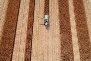 Beyaz Et Sektörü Büyüdü, Mısır Üretimi Yüzde 81 Arttı