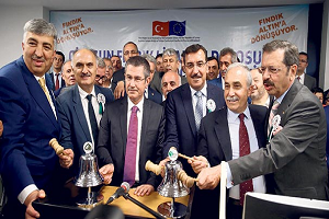 Bütün Fındıkları Alacağız