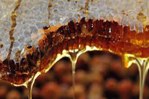 Dünyada Üretilen Balın %30`u Sahte