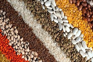 1.3 Milyar Dolarlık Gıda İhracatı