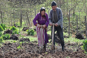 Bayraktar : Kırsal Nüfus Kaybında İlk 10`dayız!