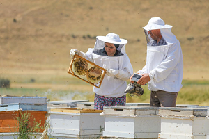 Destekleme İle Başladı Şimdi 3 Ton Bal Satıyor