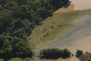 Harvey Kasırgasının ABD`ye Maliyeti 180 Milyar Dolar